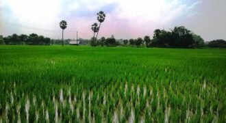 farm land plots for sale in Chennai