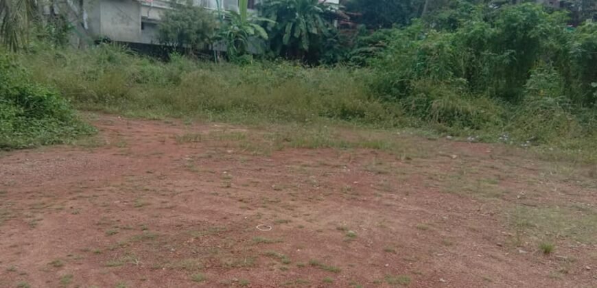 Land at Kavoor 24 cents @ 5.5 lakh per cent