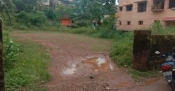 Land at Kavoor 24 cents @ 5.5 lakh per cent