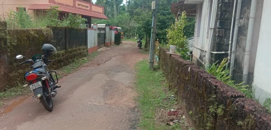 Land at Kavoor 24 cents @ 5.5 lakh per cent