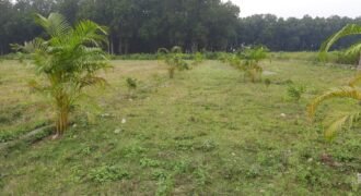 Plots at Dehradun