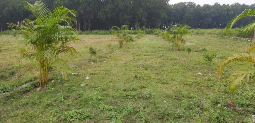 Plots at Dehradun