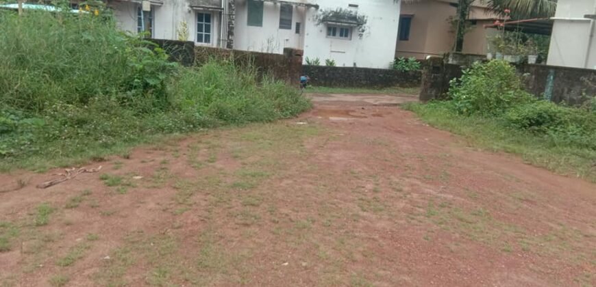 Land at Kavoor 24 cents @ 5.5 lakh per cent