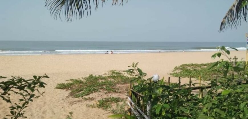 5 acres Beach facing land at Gokarna