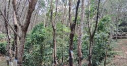 3.5 acre agricultural land at Puttur 67 lakhs