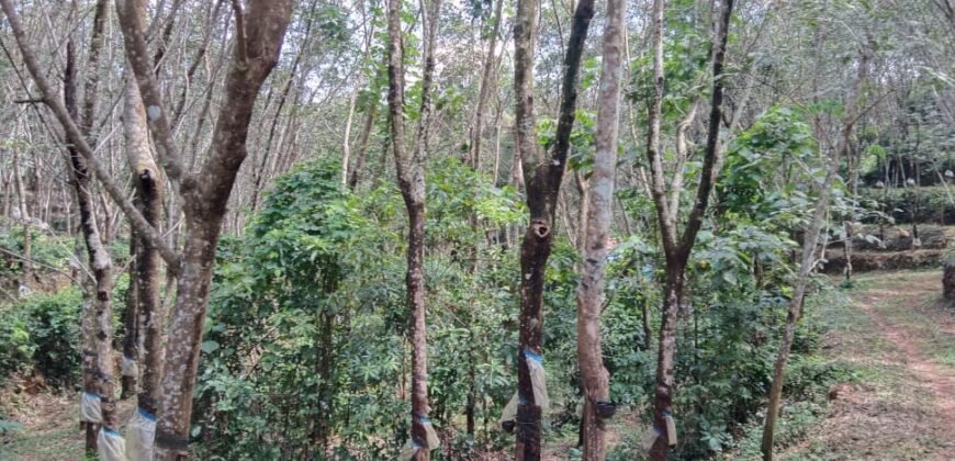 3.5 acre agricultural land at Puttur 67 lakhs