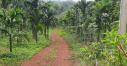 200 acres at Kavoor 450 cr