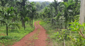 200 acres at Kavoor 450 cr