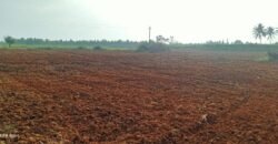 Farm land at Devanahalli Road, Bangalore