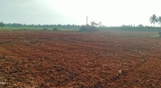 Farm land at Devanahalli Road, Bangalore