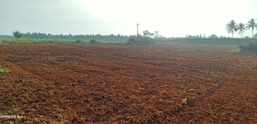 Farm land at Devanahalli Road, Bangalore