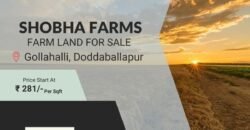 Farm land at Doddaballapura