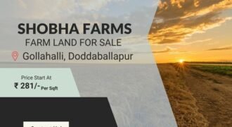 Farm land at Doddaballapura