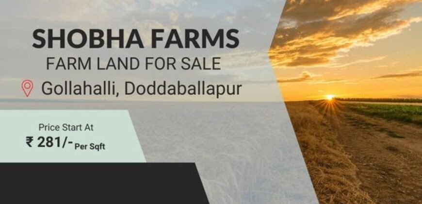 Farm land at Doddaballapura