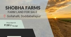 Farm land at Doddaballapura, Bangalore
