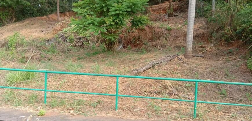 House for Sale at Nagoori , Mangalore 2Cr