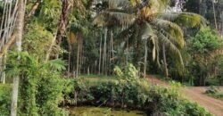 6 acre land at Shakthinagar Mangalore