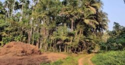 6 acre land at Shakthinagar Mangalore