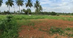 1 acre land at Hoskote, Bangalore