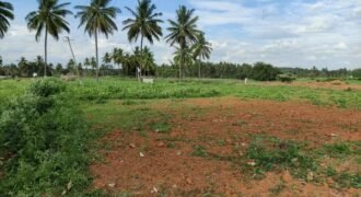 1 acre land at Hoskote, Bangalore