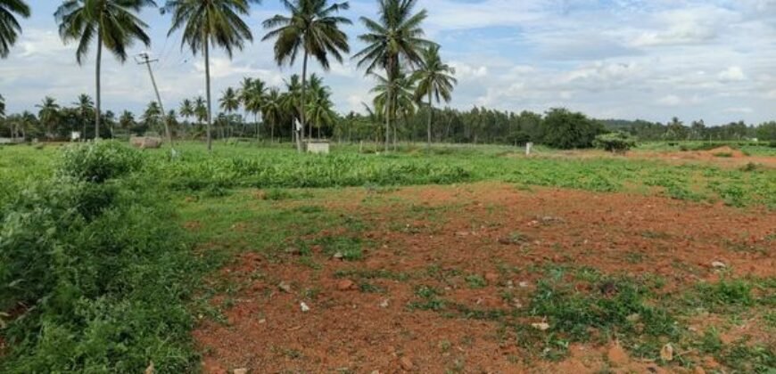 1 acre land at Hoskote, Bangalore