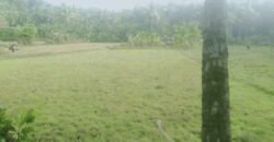 Agricultural Land at Mudipu 20 lakhs