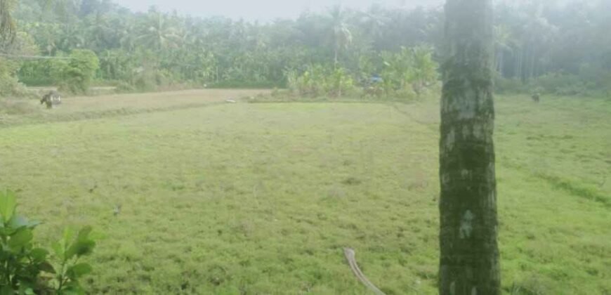 Agricultural Land at Mudipu 20 lakhs