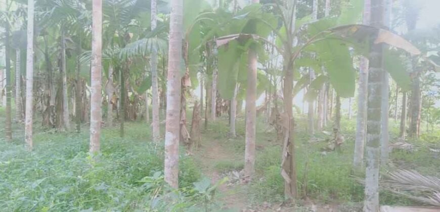 Agricultural Land at Mudipu 20 lakhs