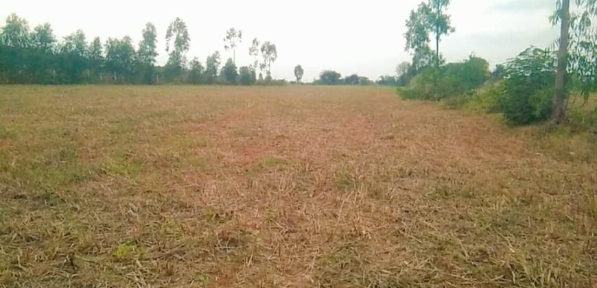 Farm land near Doddaballapur, Bangalore