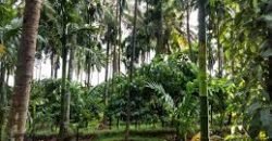 Agricultural Land at Puttur 70 lakhs