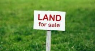 1 acre sale at Padavinangady 3.7cr