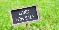 45 cents Commercial land at Haleangady