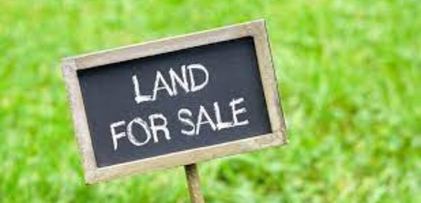 45 cents Commercial land at Haleangady