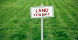 8.41 acre at Puttur