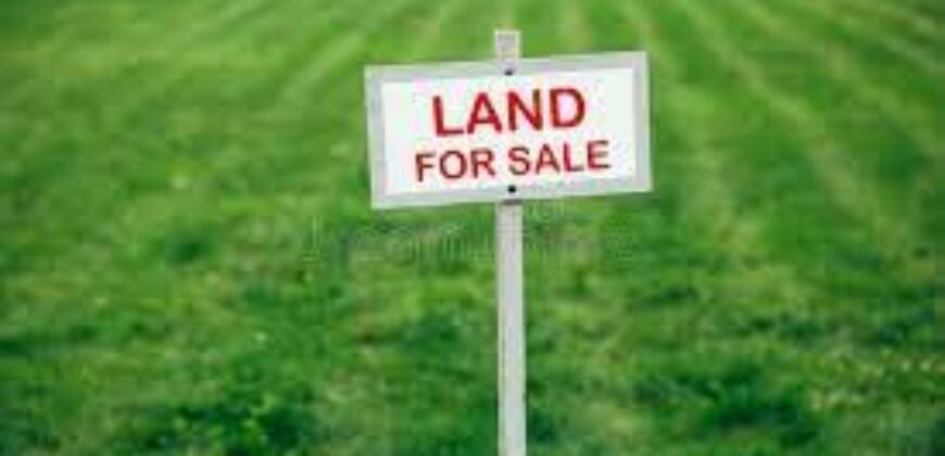 8.41 acre at Puttur