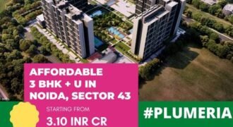 Flats at Noida Delhi