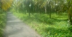 1 acre river touching at Haleangady 1.25 cr