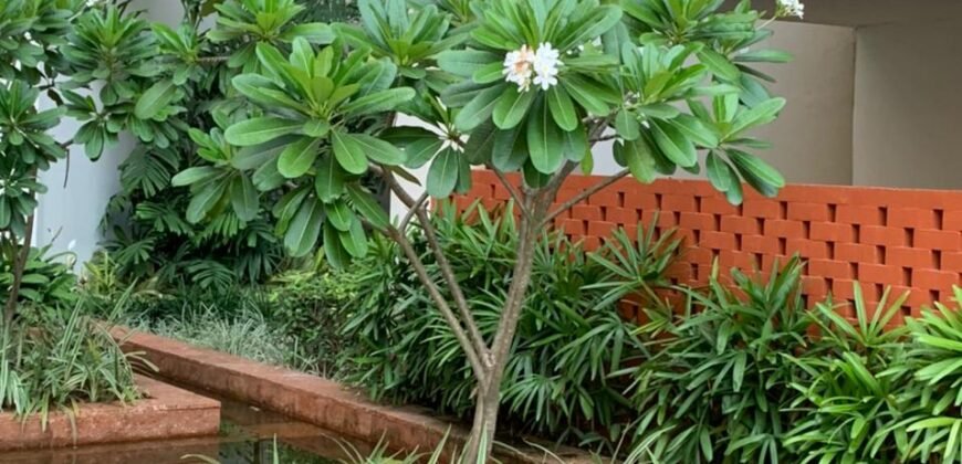 2 bhk flat at Canopy, Urwastore 90 lakhs