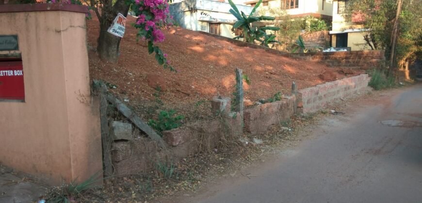 20 cents at Bikarnakatte, Saujanya Road