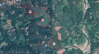 26.6 acres agricultural land at Belthangady 4.5 cr