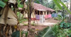 10 cents with old house at Saripalla 45 lakhs