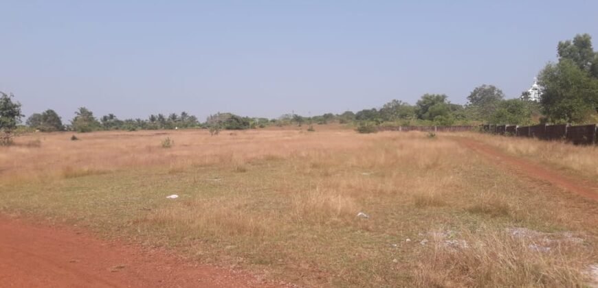 24 acre agricultural land Mooduperar, Gurupur