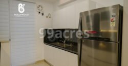 Bollywood Green City Sector-113, Mohali