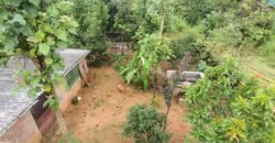 2 BHK independent house for sale at Yedapadavu