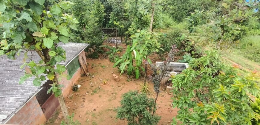 2 BHK independent house for sale at Yedapadavu