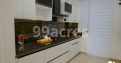 Bollywood Green City Sector-113, Mohali