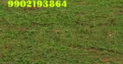 Land for sale at Bikarnakatte.