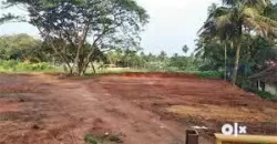 17 cents land for sale near Kallapu