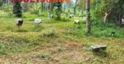 26 cents land for sale near Ullal