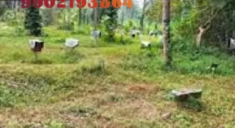 26 cents land for sale near Ullal